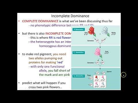 Exceptions to Mendel's Rules