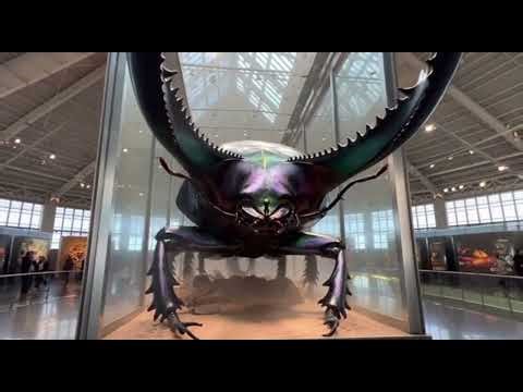 AI Giant Insect Exhibit | Living Insects Hall 1 (Realistic Museum Walkthrough)