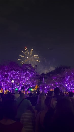 This is the best spot in California Adventure to watch the fireworks and way less crowded than the esplanade. #disneylandcalifornia #disneylandfireworks #disneycaliforniaadventurepark | Sarah Peterson