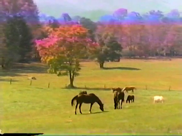 Smoky Mountain Sunday ( VHS)