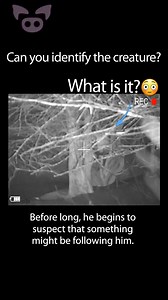 CREEPY CREATURE Spotted in Russia! #creepy #paranormal #creatures #horrorstory | Slapped Ham