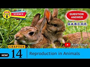 👨‍👩‍👧‍👦 Reproduction in Animals | Dav Class 8 Science Chapter 14 Question Answer | Dav Public School