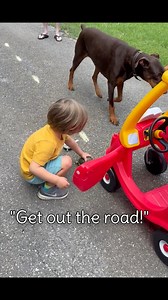 This young motorist demonstrates how to help our native turtles cross the roads! 🐢🐢🐢 Our buddy Enzo here knows that a wild turtle is already in their natural home, and that these critters know where they're going! Help them cross the road in the SAME way they're already traveling, that way they can continue their journey safely. 💚 #helpturtlescrosstheroad #cute #easternboxturtle #boxturtles #turtles | Southwest Virginia Wildlife Center of Roanoke