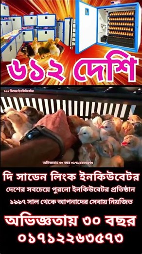 The sudden Link Incubator Co. #suddenlinkincubator #bangladeshpoultry #ডিমফোটানো #hatchingmachine #