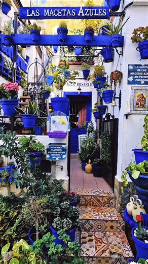 The prettiest neighborhood in Spain? 🪴💙 #SantaCruz