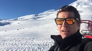 13K views · 227 reactions | BLUEBIRD Alert for the weekend!  This is...