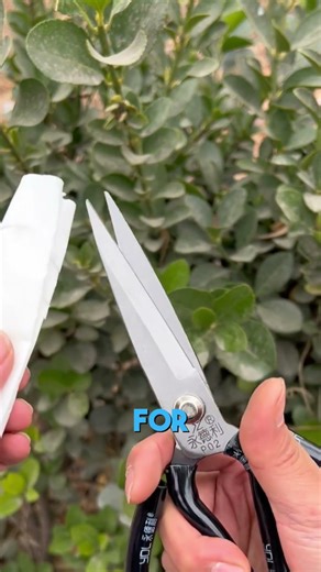 How to Fix Loose Scissors in Seconds