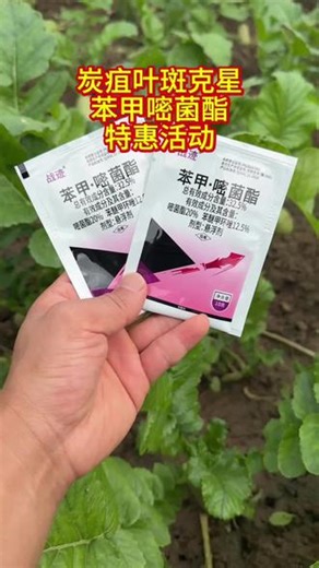 冬季低温高湿，作物容易受到病菌的感染，这款苯甲嘧菌酯，双元复配，既能预防又能治疗#炭疽病 #杀菌剂 #病虫害防治 #农药 #蔬菜种植