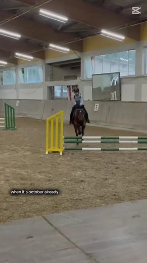 #pferd #horse #equestrian #pony #reiten #springreiten #springen