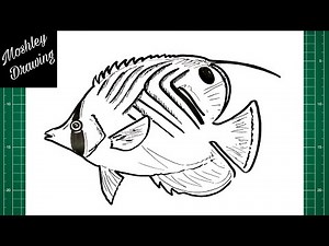 How to Draw a Threadfin Butterflyfish