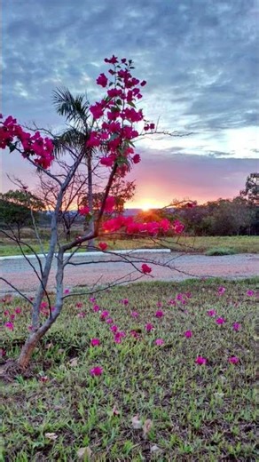 अल्फ़ाज़ों में कहाँ वो पैमान-ए-इश्क़,जो तुम्हारी मौजूदगी में हमने गुज़ारे हैं....!