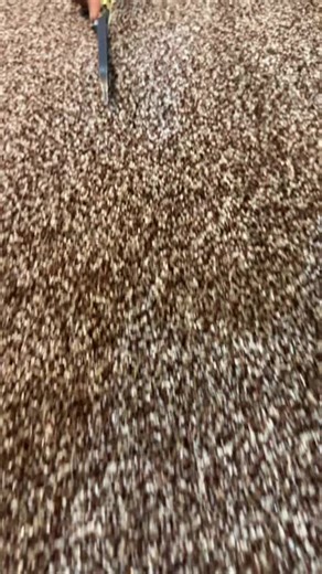 Explore Ideal Carpets and Curtains for Your Home