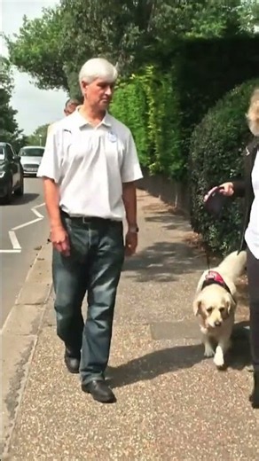 They Are Desperate To Save Their Dog 💔 #goldenretriever
