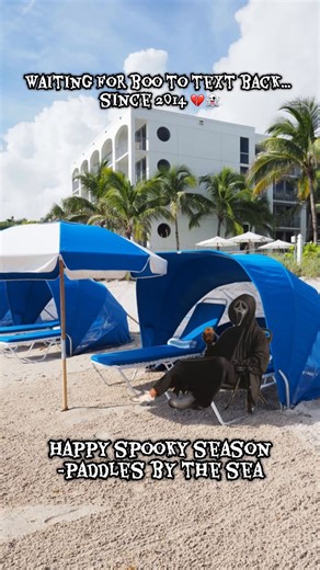 Might as well be waiting in a cabana. 👻💔 Happy spooky season! #verobeach #florida #fyp #beach #spooky | Paddles By The Sea