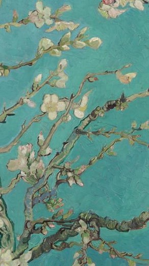 🌸 What do you give a newborn as a gift? If you're Vincent van Gogh: a canvas filled with blossoms, life, and love. This is the story of Almond Blossom. 🖼️ Almond Blossom 👨🏻‍🎨 Vincent van Gogh 📐 73.5 cm × 92 cm (28.9 in × 36 in) 📍 Van Gogh Museum, Amsterdam Photo of Engineer Vincent van Gogh and his second wife Nel van Gogh-van der Groot in their house in Laren, 1949. 📸 Peter Pollack, © the Art Institute of Chicago All other photos: copyright Vincent van Gogh Foundation | Vincent van Gogh