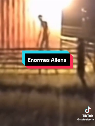 @JaimeMaussanOficial presentó en @Sale el Sol TV imágenes sorprendentes de enormes aliens captados en cámara #alien #jaimemaussan #extraterrestres #ovnis #zonaenigma