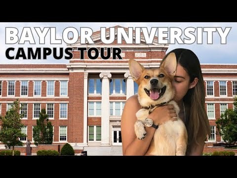 🐻 Baylor University Campus Tour | Walk with Me & My Corgi in 4K