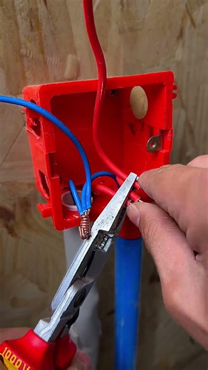 Box Internal Short Wire Extension Tutorial #shortvideo #electrician