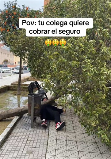 Impacto de las Lluvias y Viento en Huelva