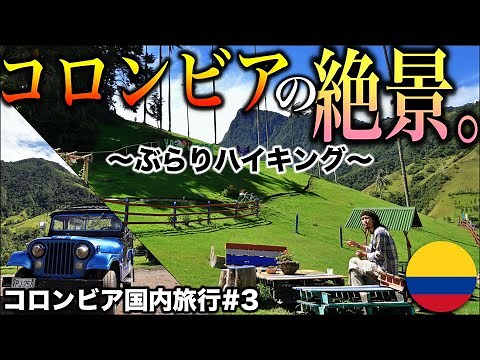 【世界一高いヤシの木🌴】牛、滝、ヤシ…。都会の喧騒を抜け出し、コロンビアの大自然を全身で体感してきました。コロンビア国内旅行#3 《世界196ヶ国 制覇の旅》