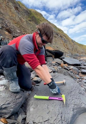 Jurassic fossils found in shale landslide – 185 million years old
