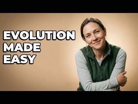 How To Explain Life Changes Over Millions Of Years?