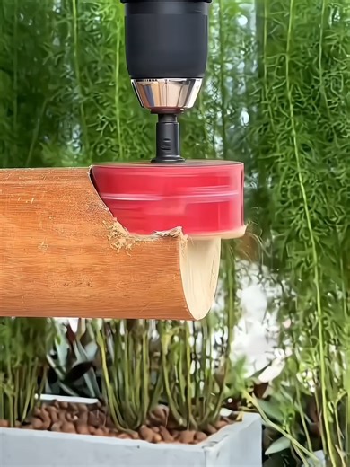 tool tips (@tooltip457)’s videos with original sound - tool tips