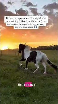 Struggling with timing in training? This changes everything. 💛 Read the description below ⬇️