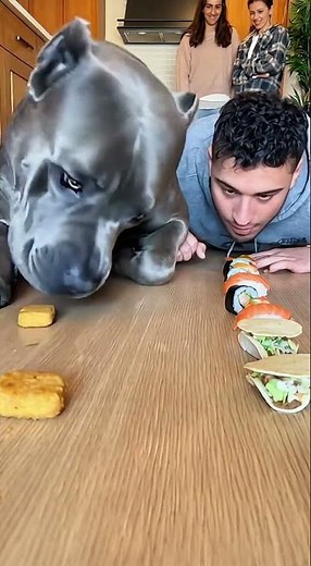 Dog vs Human Eating Race Ends in Hilarious Prank! (You Won’t Believe the Ending)