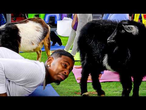 FunnyMike & BadKidJay Try GOAT YOGA For The FIRST TIME EVER! 😂🐐