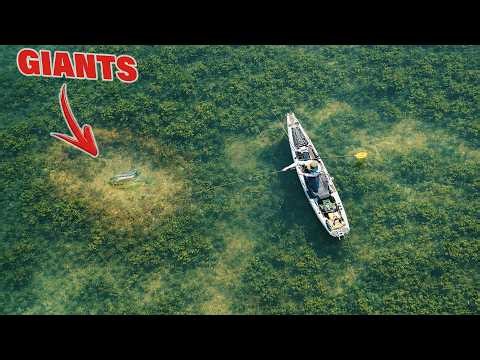 Can I Break A Fishing World Record In 24 Hours?