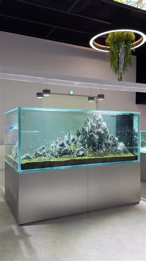 Beautiful Dragon stone layout 🔥