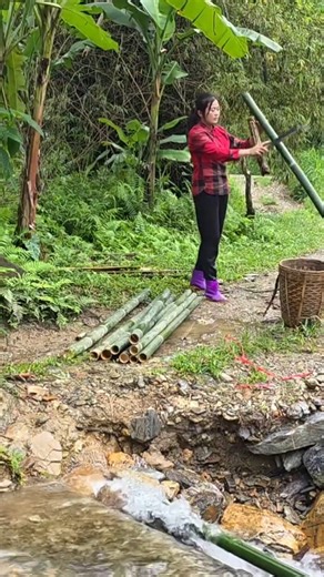 The technique of using bamboo to create a fish trap on a small dam and Diep caught a lot of fish. #bac_wanderingboy #trapfish #fishtrappingskills | Aziza Smuts