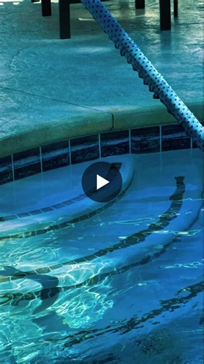 How’s your commercial pool maintenance company doing? | Juan Zavala