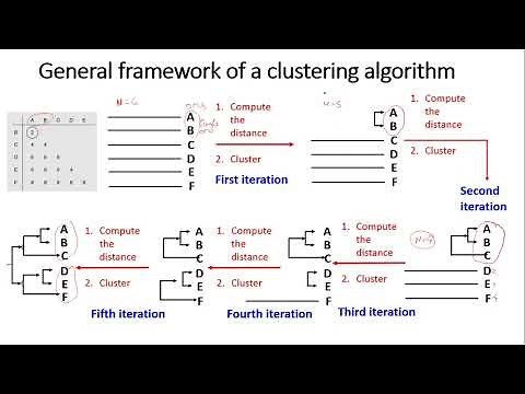 Clustering Algorithms in phylogeny -WPGMA