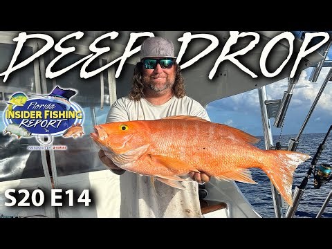 Deep Dropping is Guaranteed to Fill Your Coolers! Just Watch These Fishing Reports!
