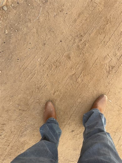 Videos de @LEXIS_309 (@alexis209_ec08) con “sonido original - ( _ )~§€®&¡°~( _ )”