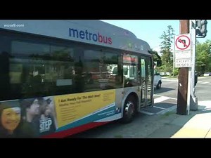 Woman fights Metro after bus smashes her car
