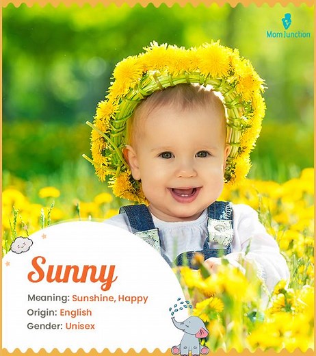 Sunny Name Meaning, Origin, History, And Popularity