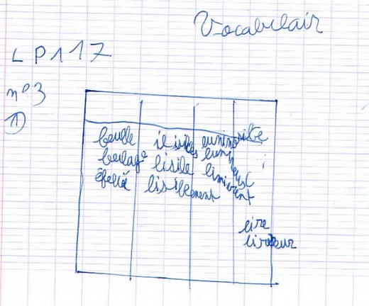 Dysproprioception/Dysfonction Proprioceptive/Dysperception Proprioceptive