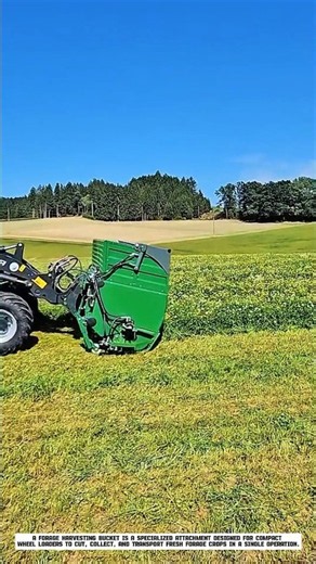 How a Forage Harvesting Bucket Quickly Collects Fresh Livestock Feed