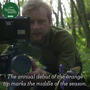 251K views · 1.2K reactions | Good morning folks! What a fantastic show last night!  Here is Sam Oakes with his wonderful signs of spring... #Springwatch #Gardenwatch | BBC Springwatch | Facebook