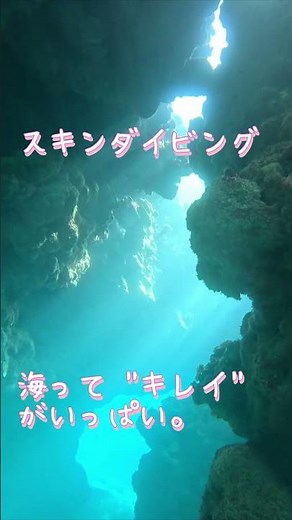 【石垣島】キレイ、楽しいがいっぱいスキンダイビング！3月2日