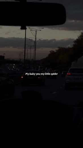 My Baby You Are My Little Spider Song Lyrics