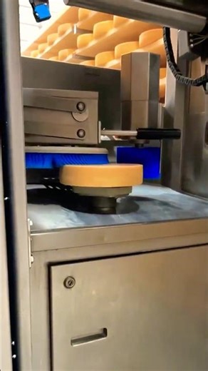 Automated Cheese Care Robot: Cleaning and Turning Process