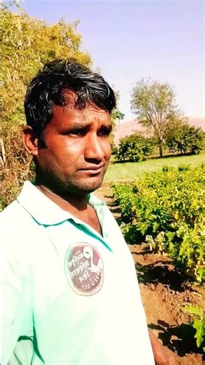 #topशेतकरी #funny #youtubeshorts#sorts#farming🤷🙈 #comedyvideos🙈#love🌱 #sanjaycomedy😄 #सबस्क्राईब_करा