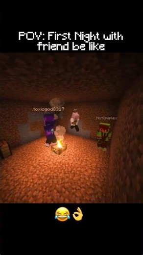 POV: Your First Night in Minecraft 😂🌙 #minecraft #shorts