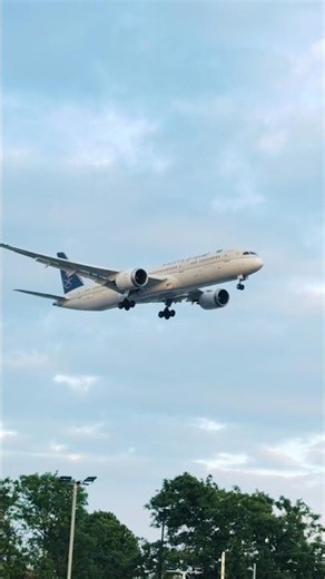 This Plane Is Insanely Efficient #aircraft #787 #aviation