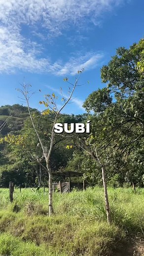 Kari Matarrita on TikTok