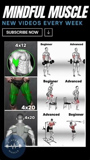 Full Body Transformation: Beginner & Advanced Exercises for Arms, Legs, and Back